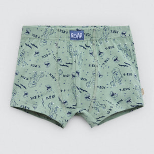 Confezione da 2 boxer in cotone per bambini con stampa di dinosauri