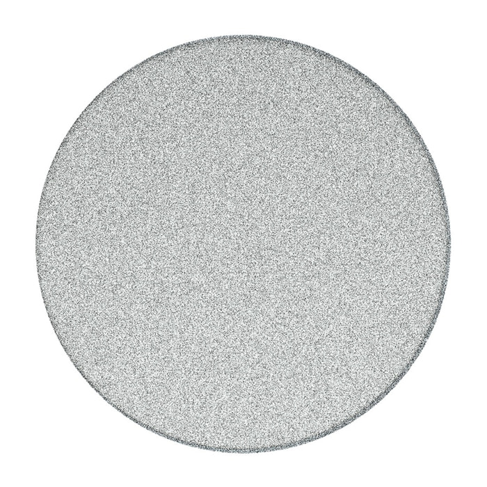 Pierre de ponçage de rechange pour douchette pédicure, grain fin (SATWTSSF80)