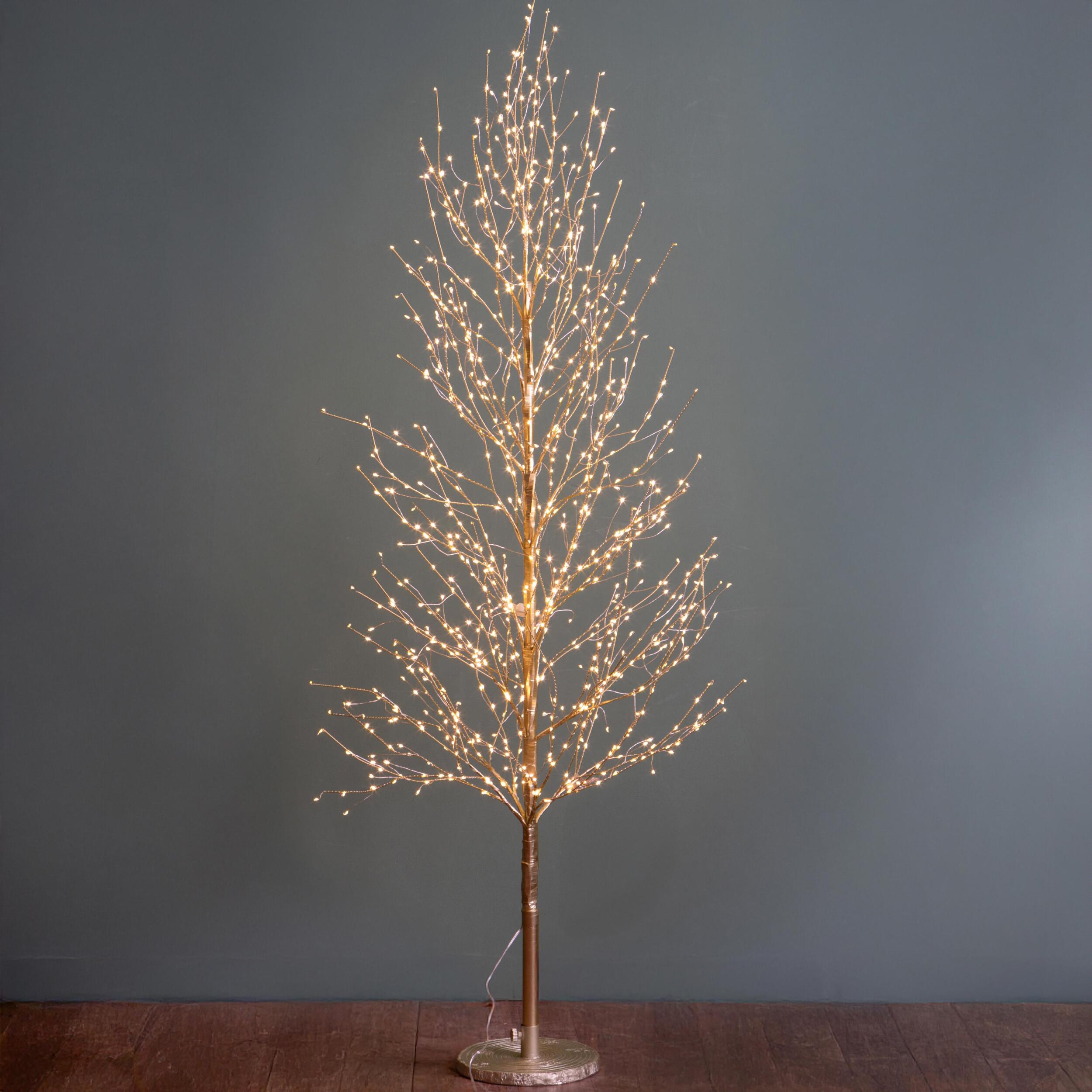 Faggio - Pezzi 1 - 25xH180x25cm - Bianchi Dino SpA