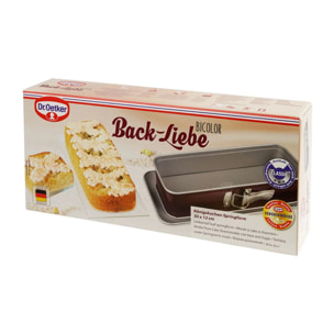 Lot de 2 moules à cakes à charnière 30 cm Dr. Oetker Back-Liebe Bicolor