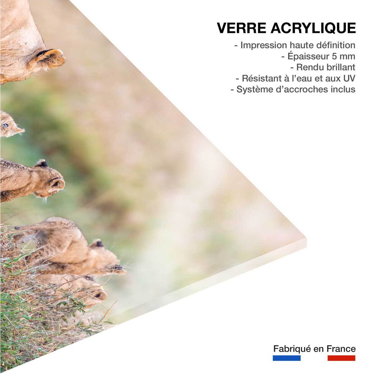 Tableau animaux let's go mom Tableau plexiglas