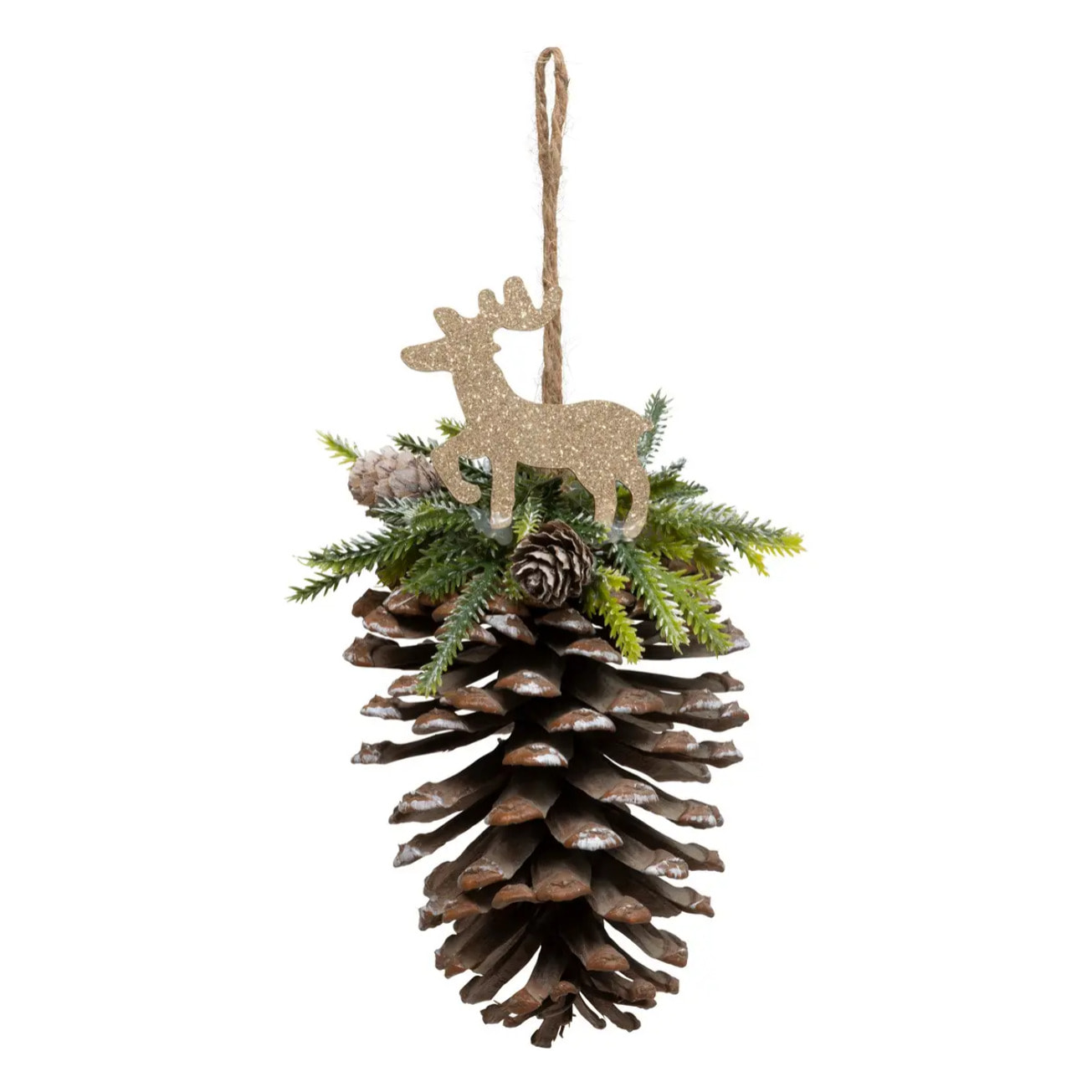 SDN PDP FOUG RENNE PAILL 20CM