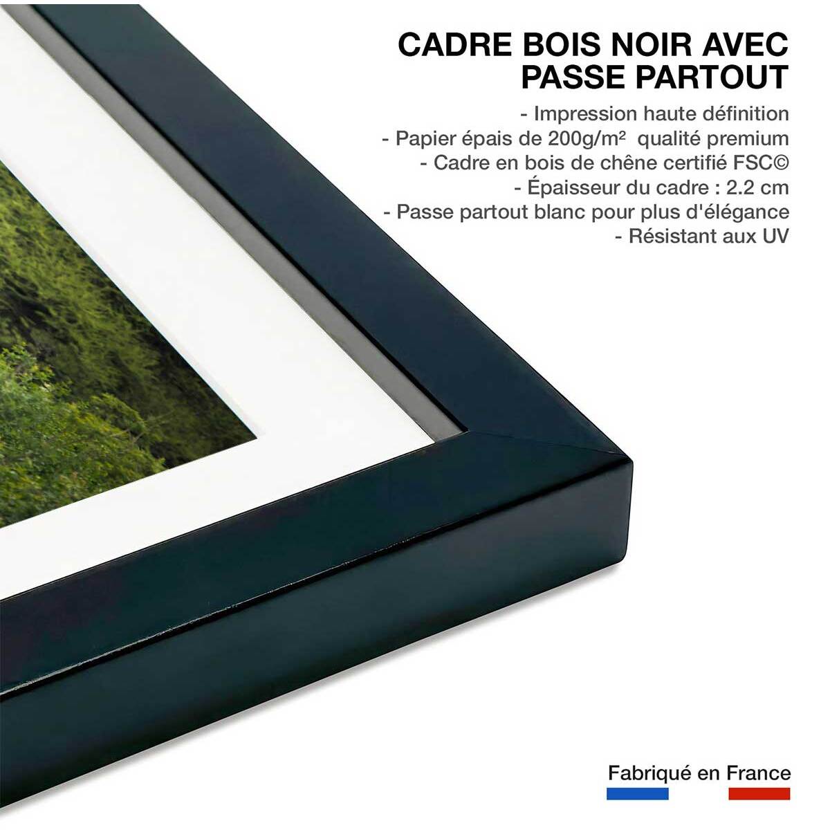 Affiche Girafe inattendue Affiche sous cadre noir