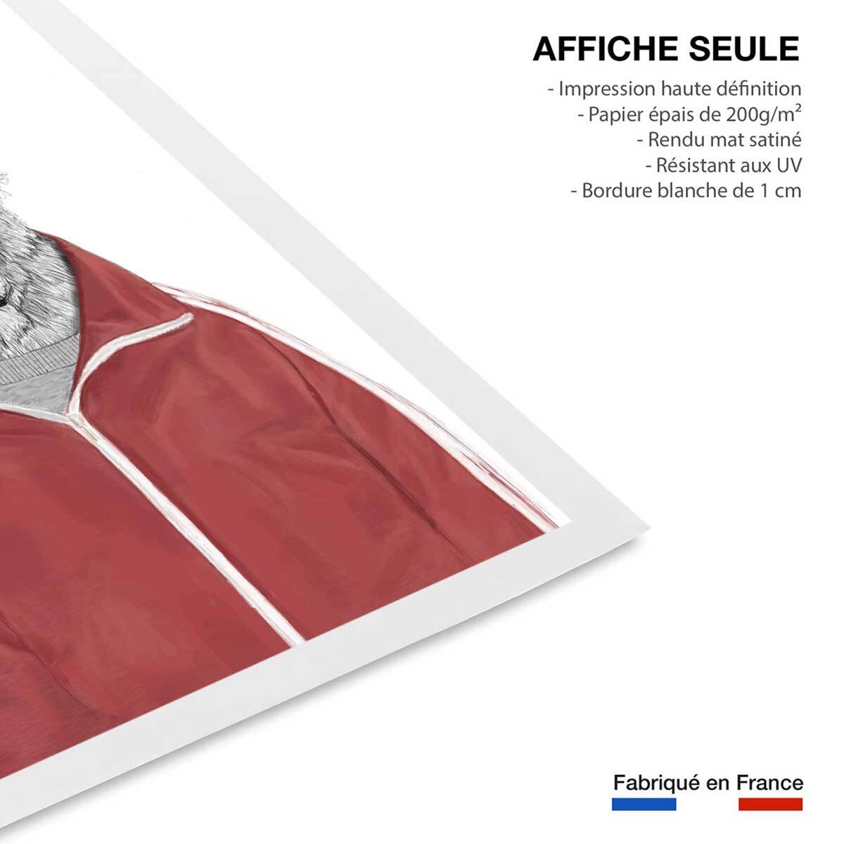 Affiche enfant lion  Affiche seule