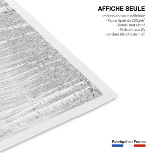 Affiche nature perspective trees Affiche seule