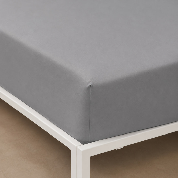 BASSETTI Lenzuolo con Angoli 100% Cotone_ Singolo_Fumo