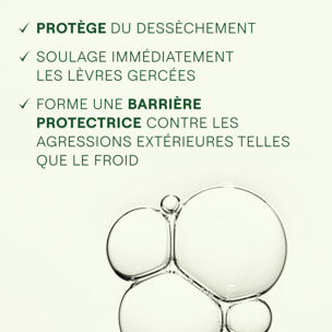 WELEDA - Skin Food Baume lèvres - 8 ml