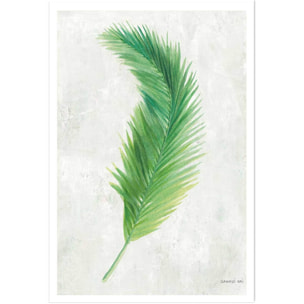 Affiche palme tropicale illustrée Affiche seule