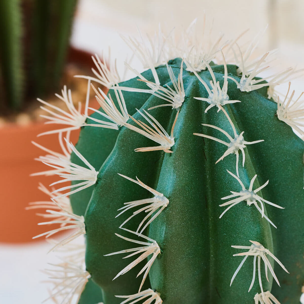 Cactus Artificial Stetsonia Coryne 64 Cm