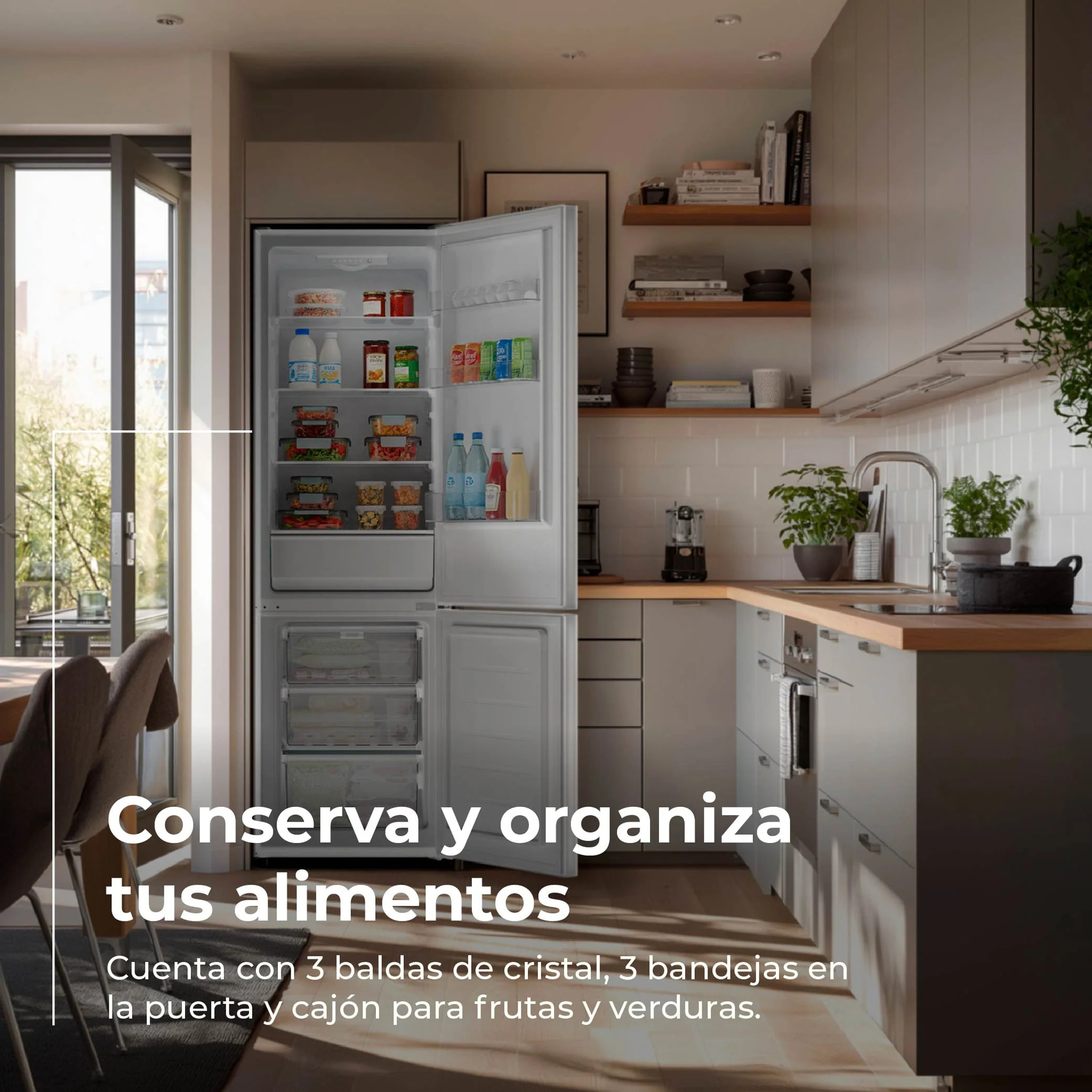 Frigorífico Combi EVVO F51, 187 l + 75 l, 176 cm, Blanco, Bajo consumo