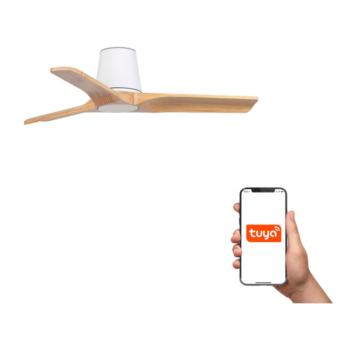 HEYWOOD TUB S Ventilateur de plafond blanc/pino  TUYA