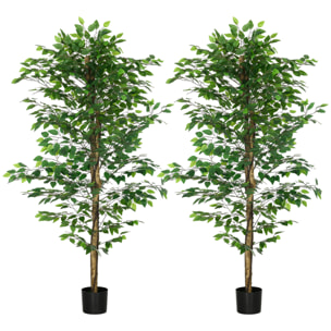 Lot de 2 plantes artificielles arbres ficus H.1,80 m tronc branches liane lichen feuilles grand réalisme pot inclus
