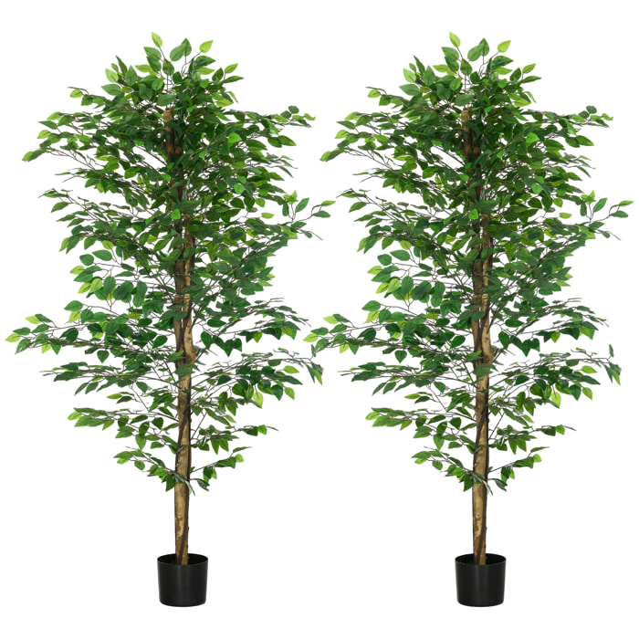 Lot de 2 plantes artificielles arbres ficus H.1,80 m tronc branches liane lichen feuilles grand réalisme pot inclus