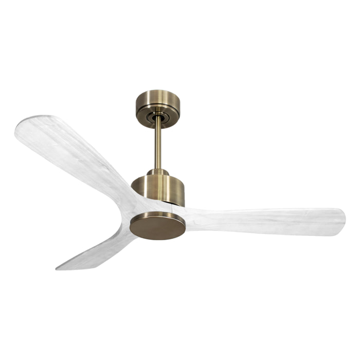 Ventilateur de plafond Wifi Moteur à courant continu Télécommande Hypersilence Mémoire