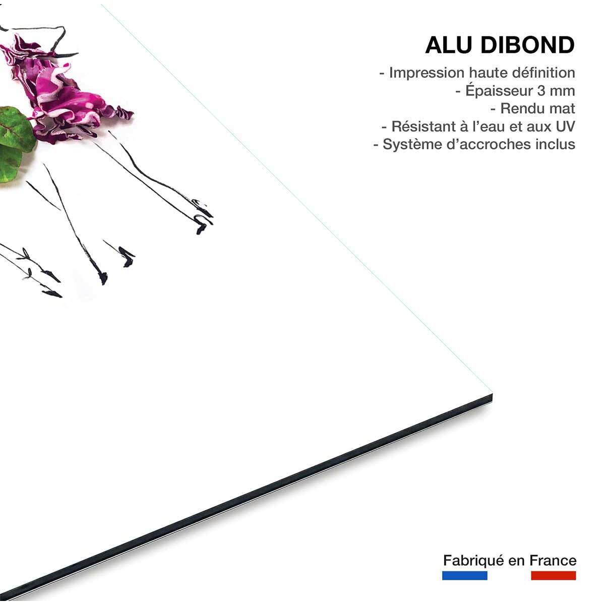 Tableau cuisine humour robes en fruit  Tableau alu Dibond
