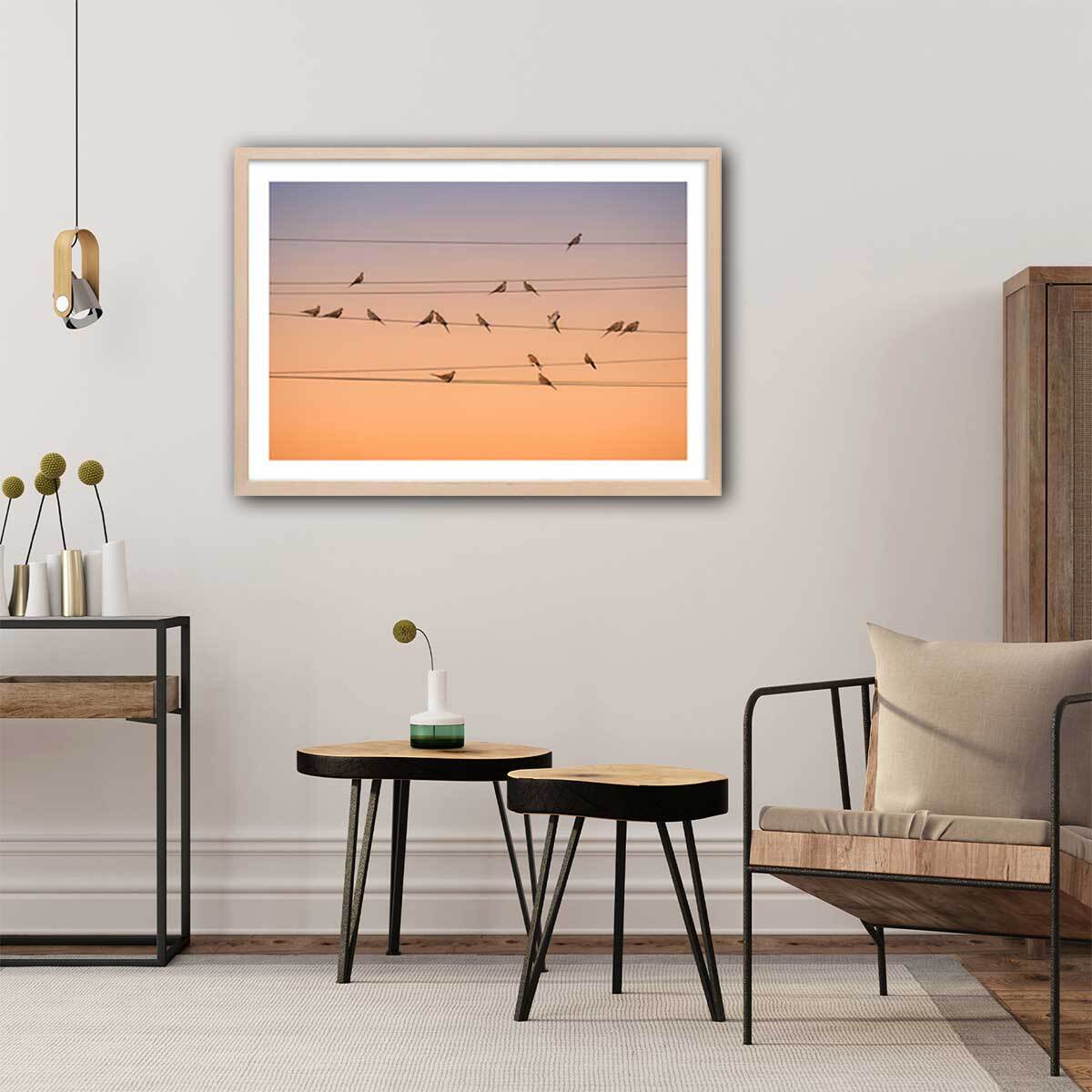 Affiche oiseaux Music of Light Affiche seule