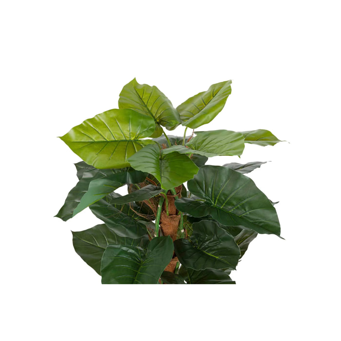 Planta Artificial Taro Con Maceta 65x65x120 Cm