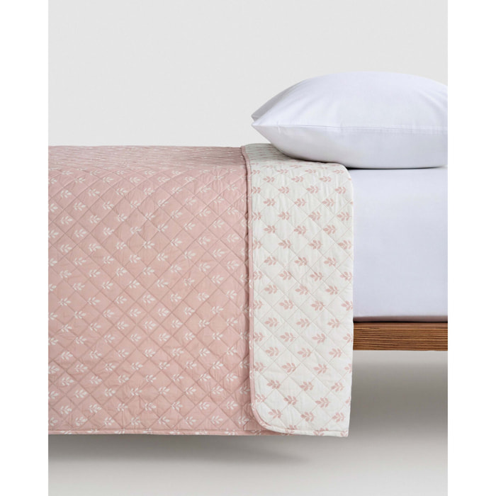 Colcha bouti arvense crema