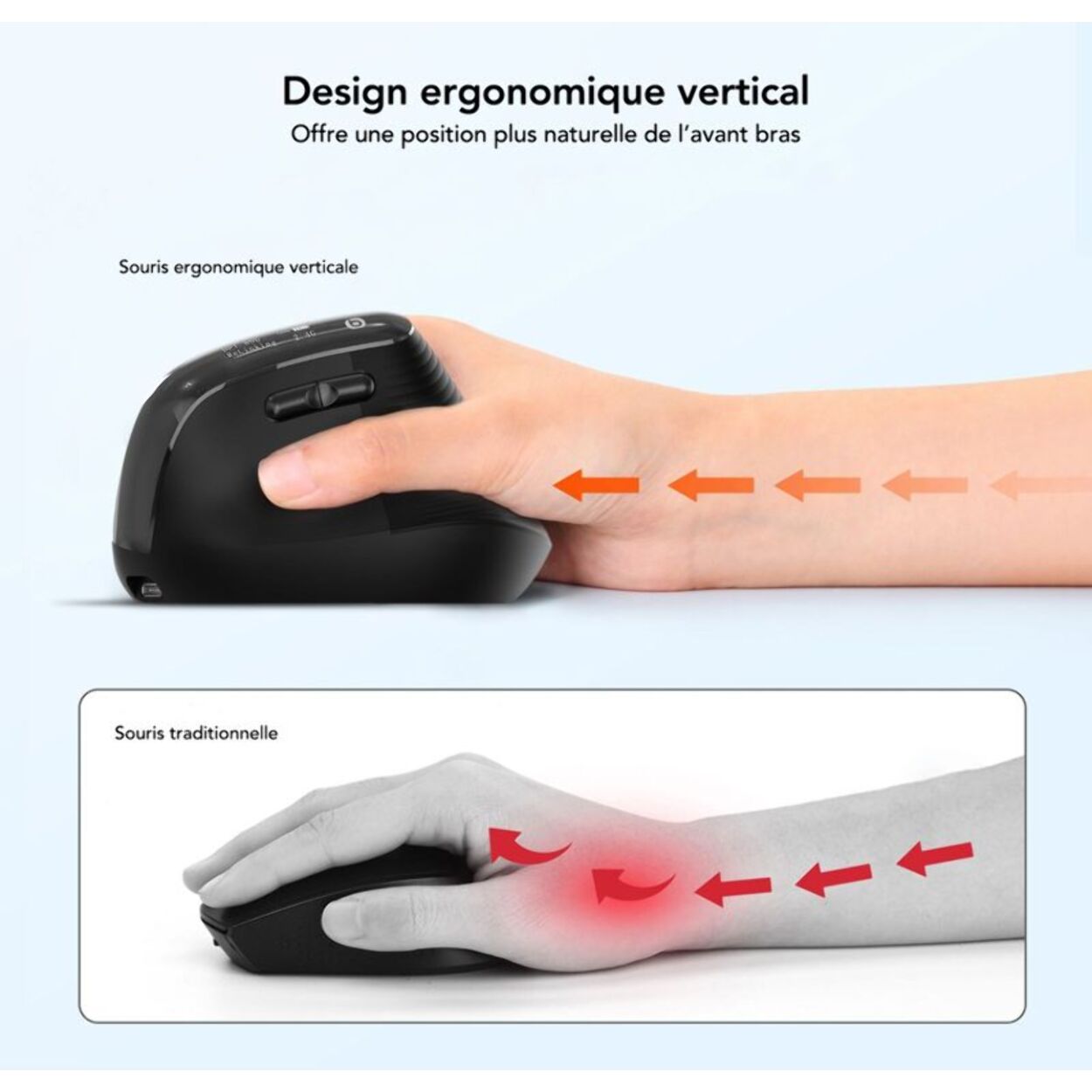 Souris sans fil ESSENTIELB Ergo Sans fil