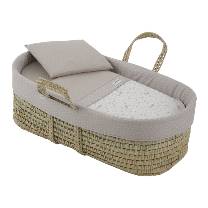 Cambrass Moises De Palma Acolchado Une Abete