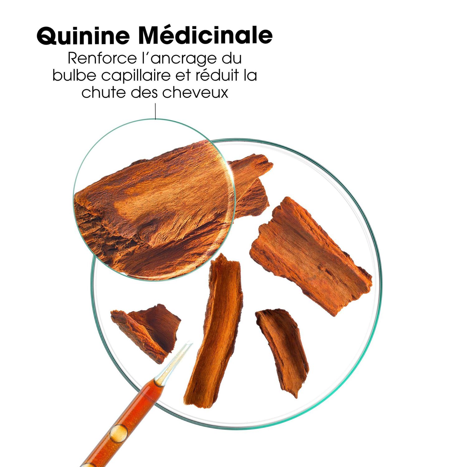Quinine Bio - Lait Après-shampooing fortifiant Pour Cheveux fatigués et sujets à la chute 200ml