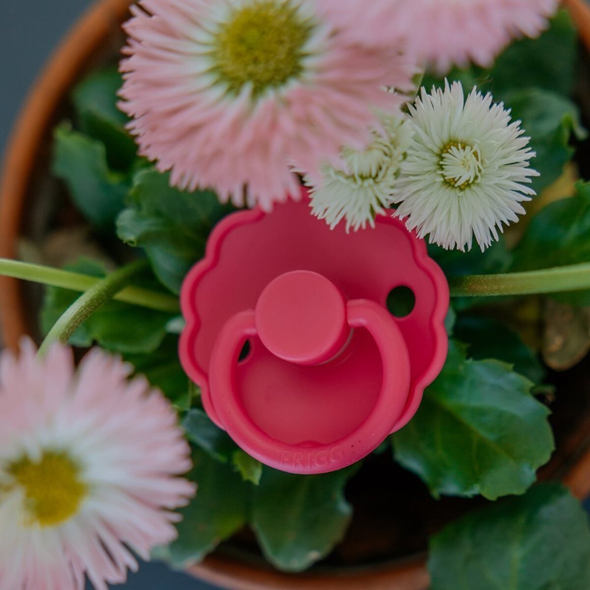 Frigg Pack 2 Chupetes Block Silicona Daisy