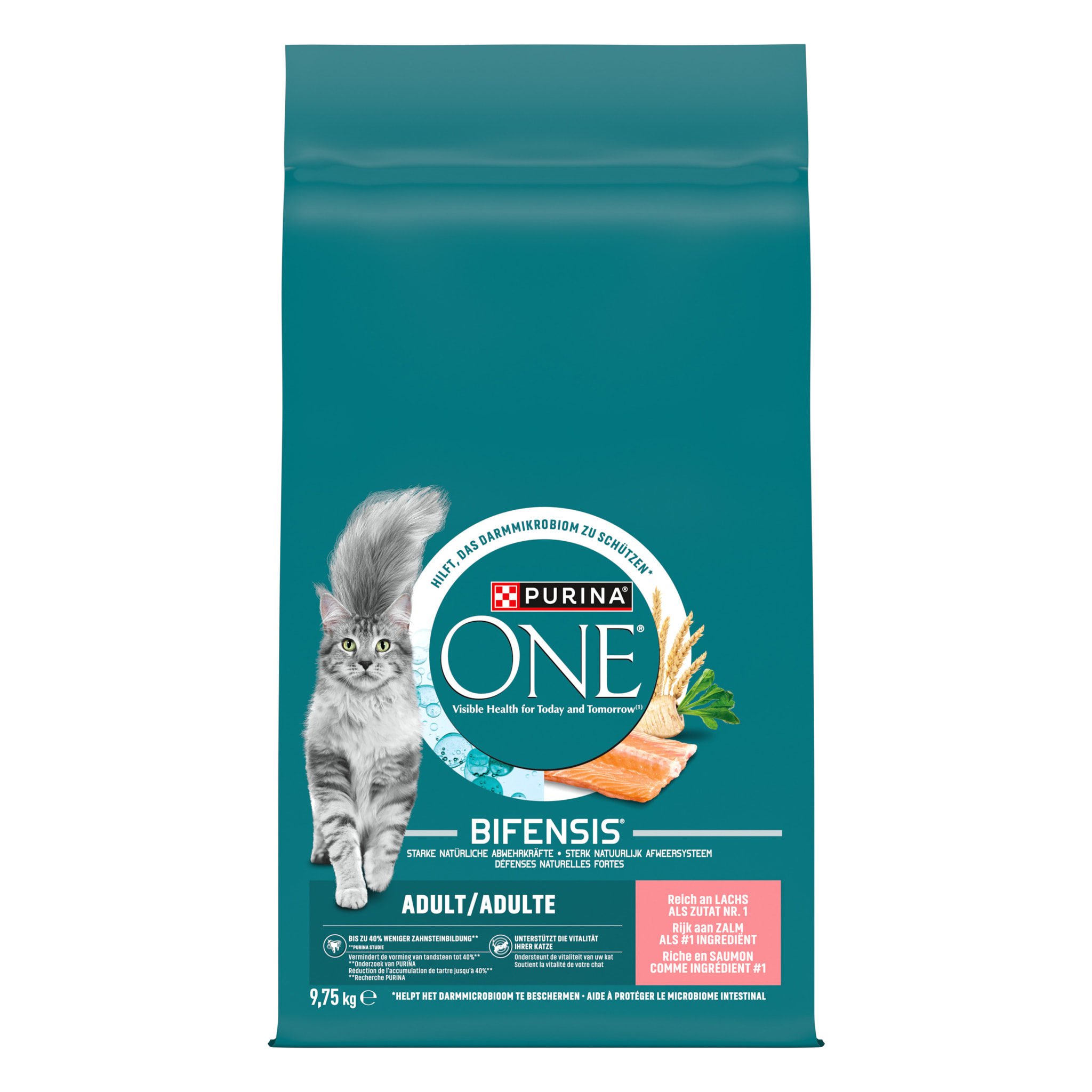 PURINA ONE Adulte Saumon 9,75kg