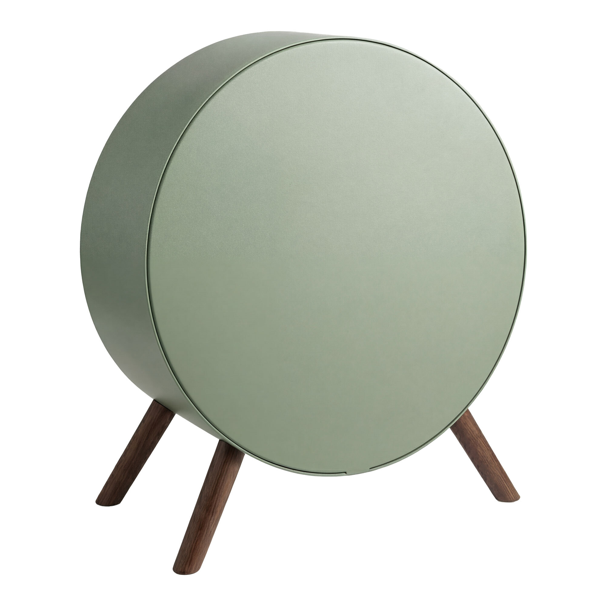 Venere - Camino a Bioetanolo da Pavimento 60x72x30 cm con Bruciatore 1 Litro e Piedi in Legno di Pino Salvia