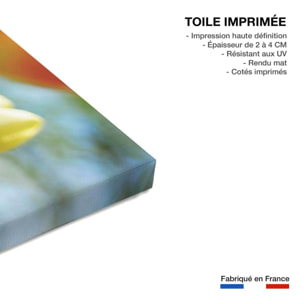 Tableau nature tulipes  Toile imprimée