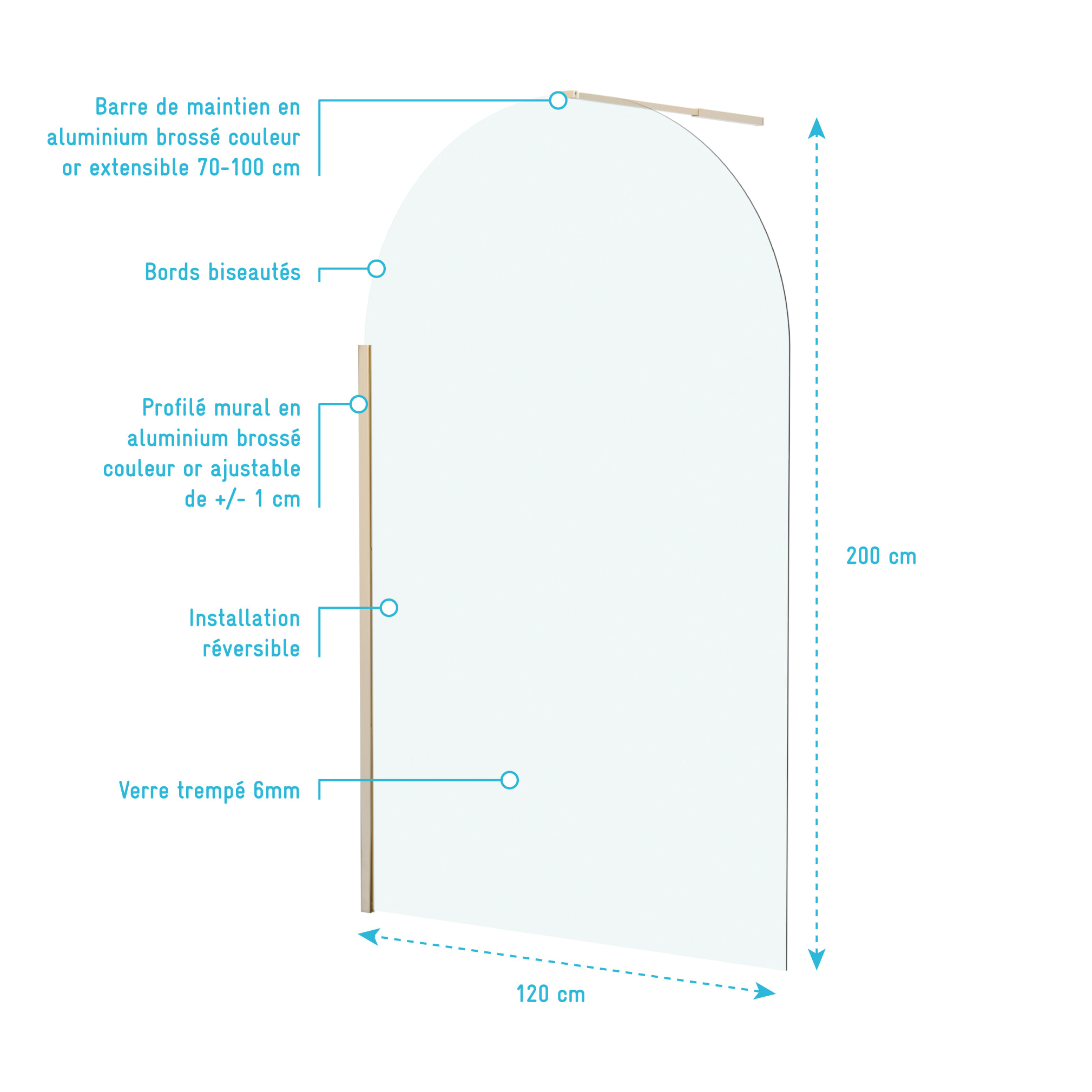 Paroi de Douche arrondie 120x200 cm - Profilé Or Doré Brossé - GOLDY CURVED