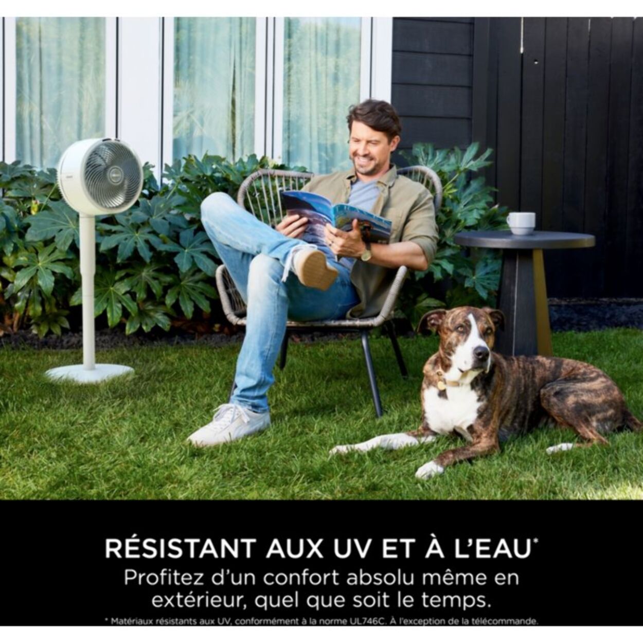 Ventilateur SHARK FA220EU