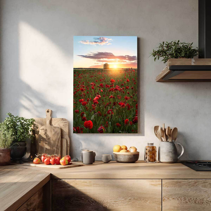 Tableau champs de coquelicots Suede en fleurs Tableau alu Dibond