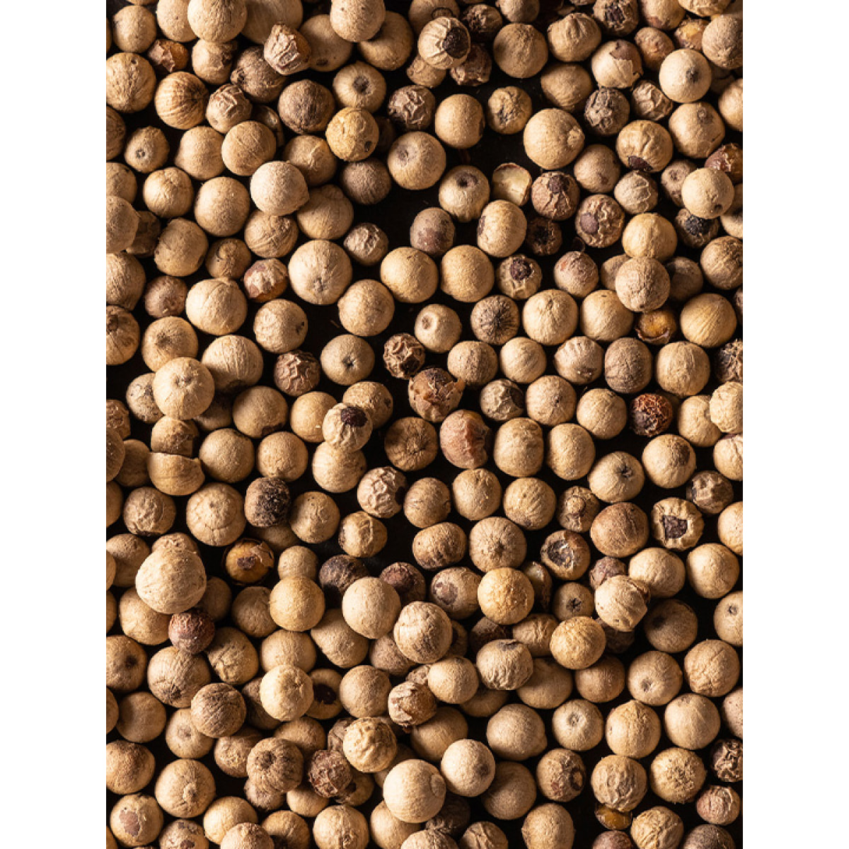 Pack Poivres et Sel Classique Multipack Mix Standard
