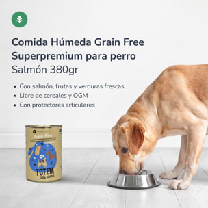 PLANETA HUERTO | Pack 6 Comida Húmeda Grain Free Superpremium para Perros Salmón 380 g - Pienso Natural Perros Adultos, Sin Cereales, Rico en Omega-3 y con Protectores Articulares