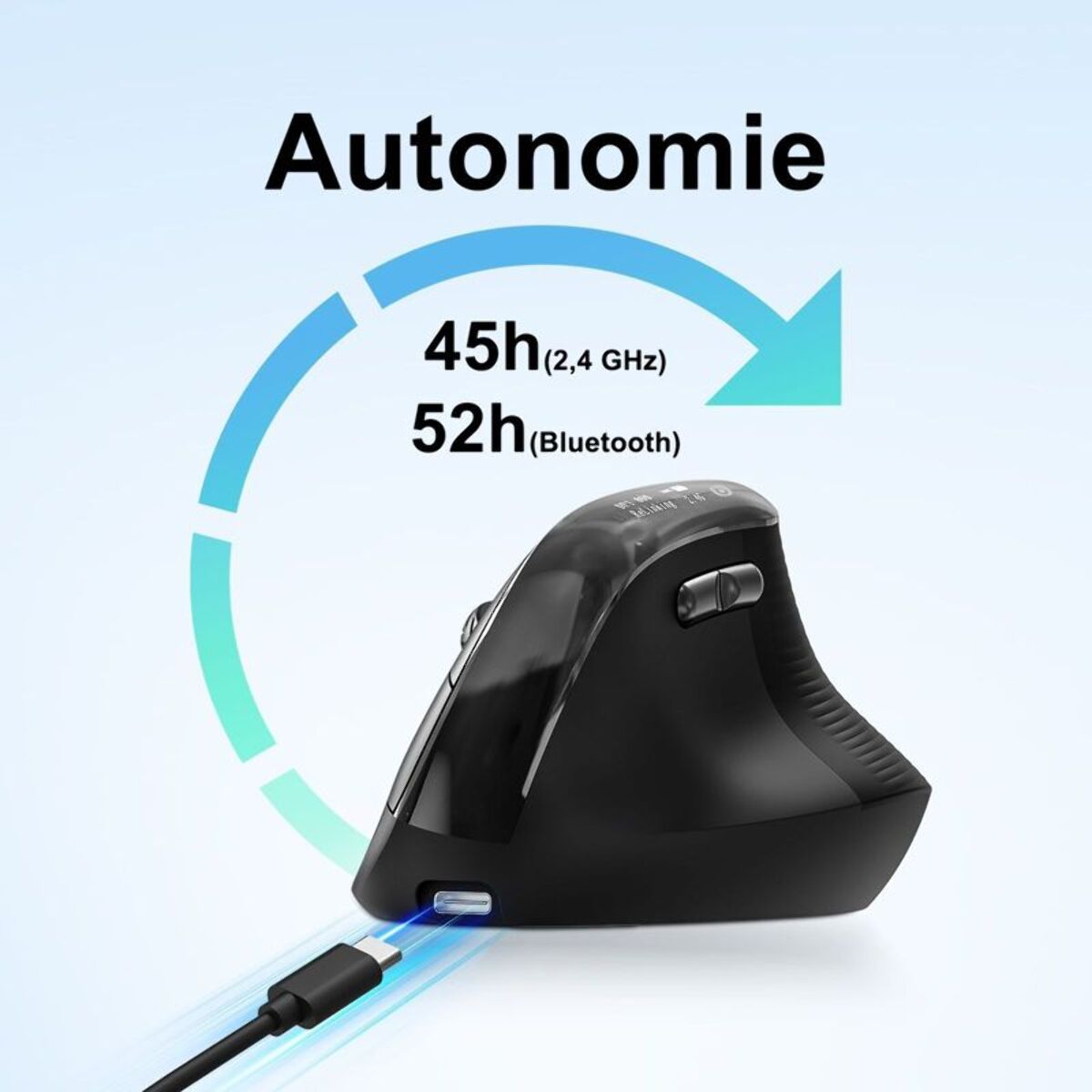 Souris sans fil ESSENTIELB Ergo Sans fil