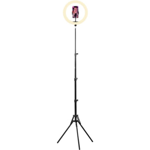 Lampe LED TNB Influence Anneau led 12''