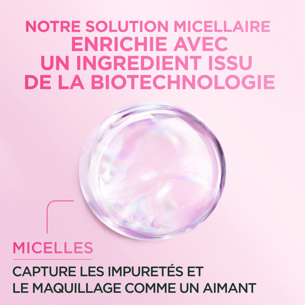Lot de 6 - Garnier SkinActive Micellaire Tout en 1 Peaux Sensibles 400mL