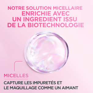 Lot de 6 - Garnier SkinActive Micellaire Tout en 1 Peaux Sensibles 400mL