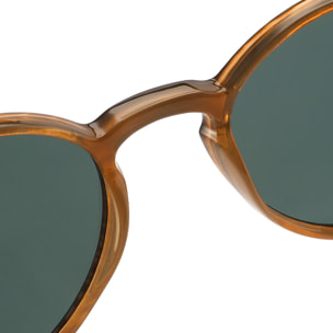 GAFAS DE SOL SEXTON | TK00133 - C4 - 24