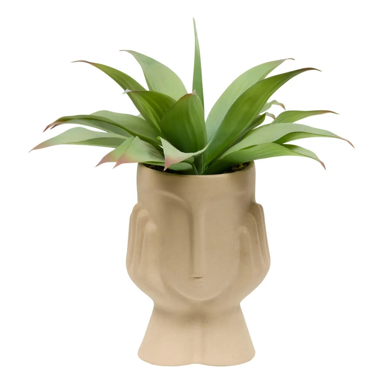 Plante artificielle agave Sien H48cm