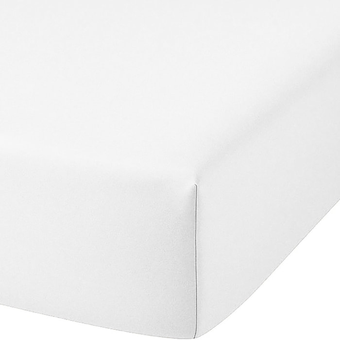 Drap housse 100% coton uni - blanc