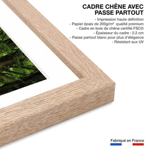 Affiche L'arbre Metasequoia Affiche + cadre en bois - Chêne