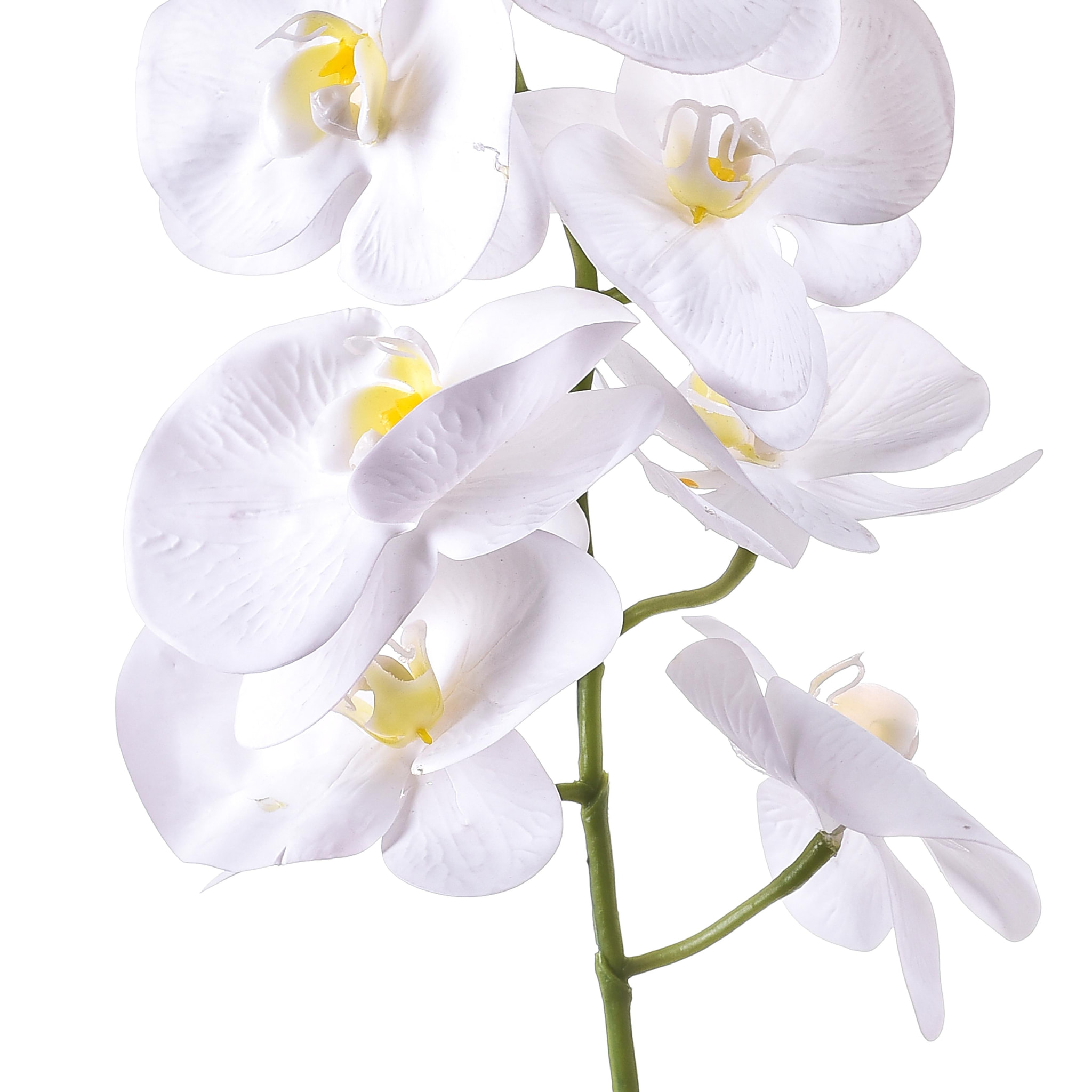 Phalaenopsis Con 7 Fiori. Altezza 96 Cm - Pezzi 6 - 14X96X8cm - Colore: Bianco - Bianchi Dino - Fiori Artificiali