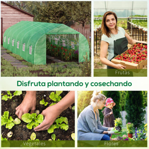 Invernadero de Jardín 800x300x200 cm Tipo Táºnel para Cultivo de Plantas Acero PE