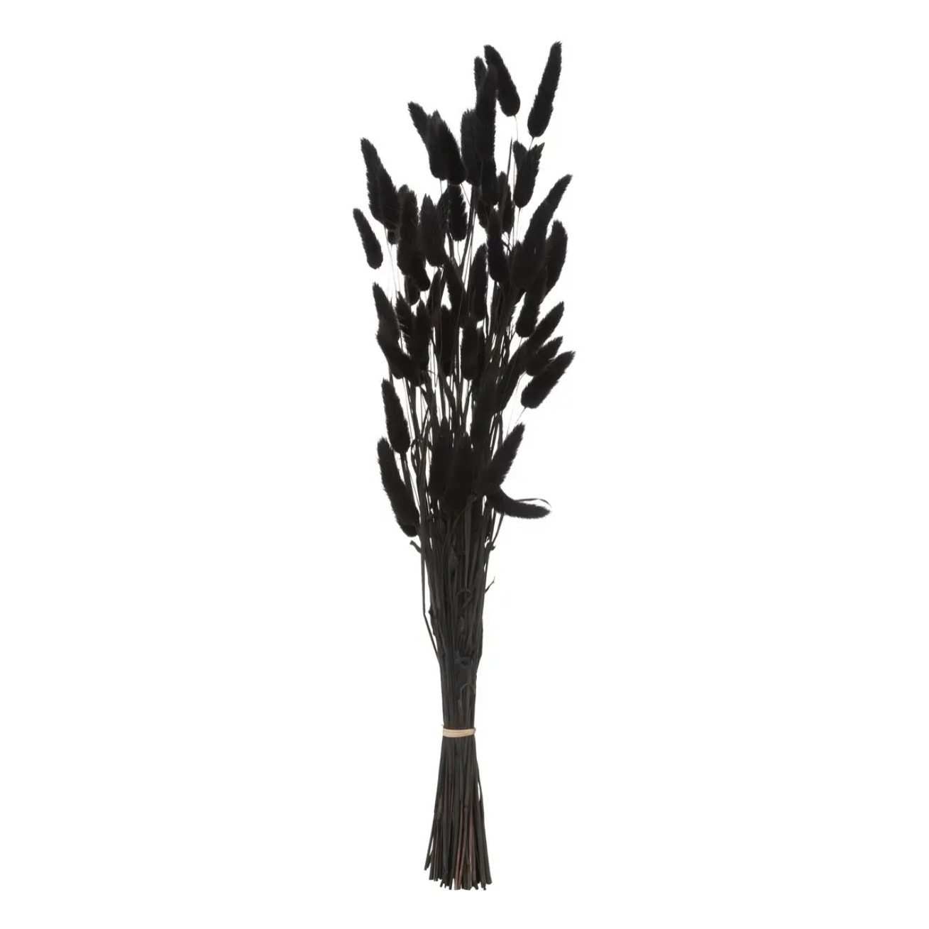 Bouquet queue de lapin H58cm noir