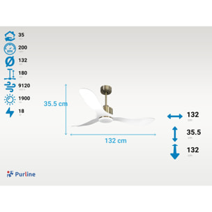 Ventilateur de plafond Réversible  Thermostat Dimmable Wifi Moteur à courant continu Toits en pente Télécommande Lumière à trois tons Hypersilence Mémoire