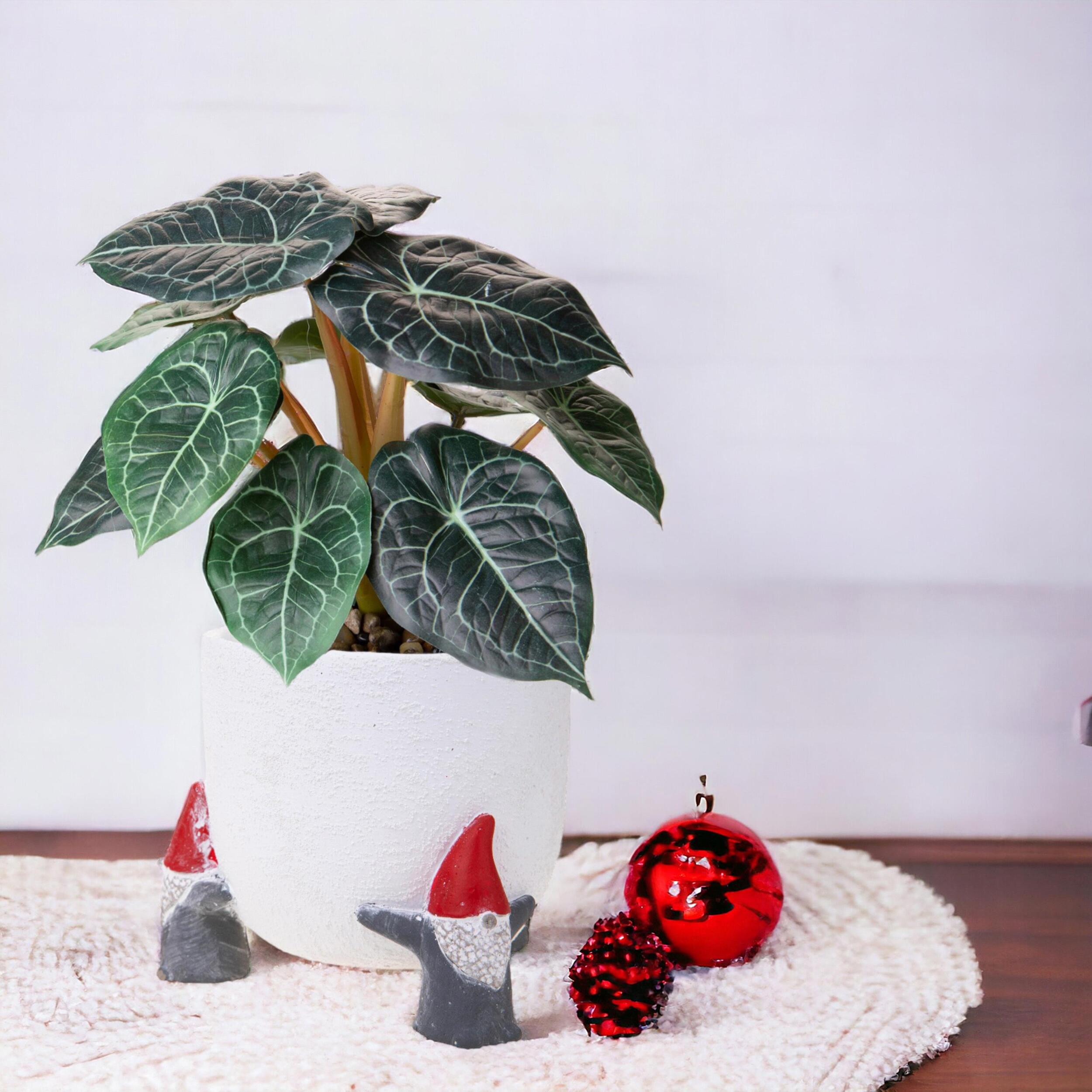 Cachepot con Elfi - Pezzi 4 - 16,5xH14x16,5cm - Bianchi Dino SpA