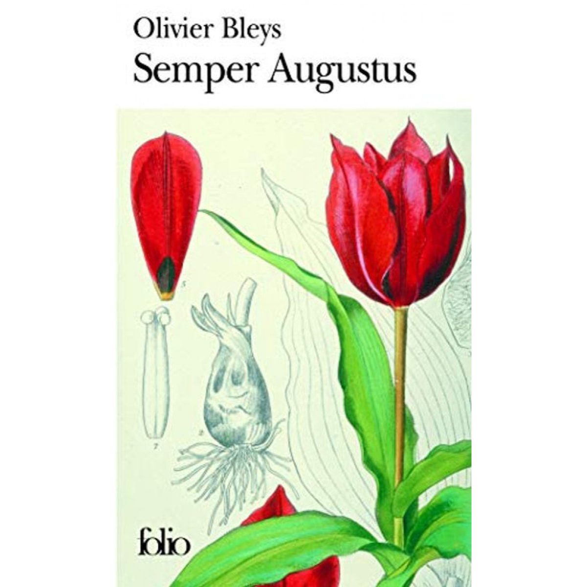 Bleys,Olivier | Semper Augustus | Livre d'occasion