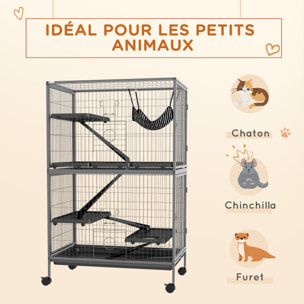 Cage pour rongeurs furet chinchilla 4 plateformes 3 rampes 4 portes hamac plateau acier gris noir