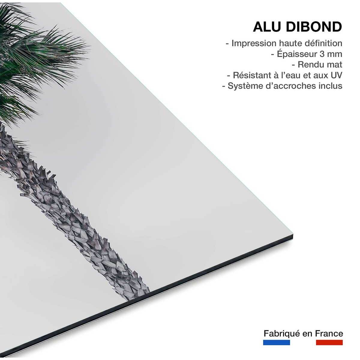 Tableau coconut palm Tableau alu Dibond